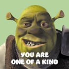 Shrek you are one of a kind